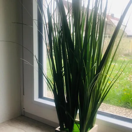 Feldmann Appartement *