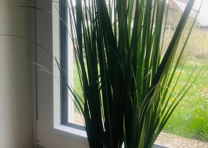 Feldmann Apartamento *