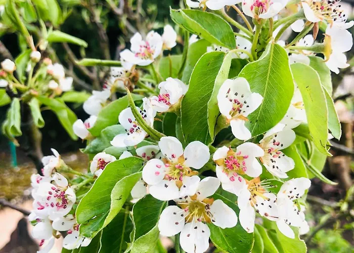 Apartamento Feldmann Freckenfeld