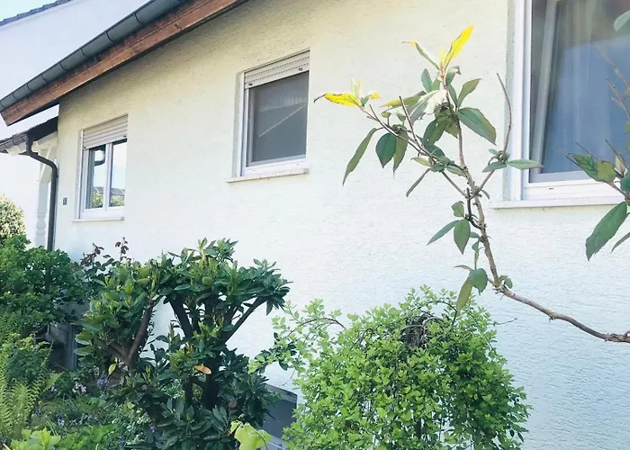 Feldmann Freckenfeld